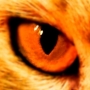abood Cats eye⭐⭐