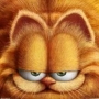 ⭐‼GARFIELD‼⭐