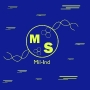 MilS-Ind