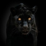 Khaled_