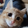〽️кеυмԀοпԌ금동〽️