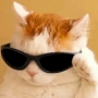 ^^Oyen^^