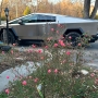 Dune Cybertruck