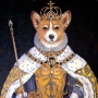 DoggyB