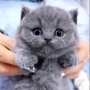 Kiky ^^